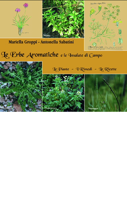 erbe aromatiche copia