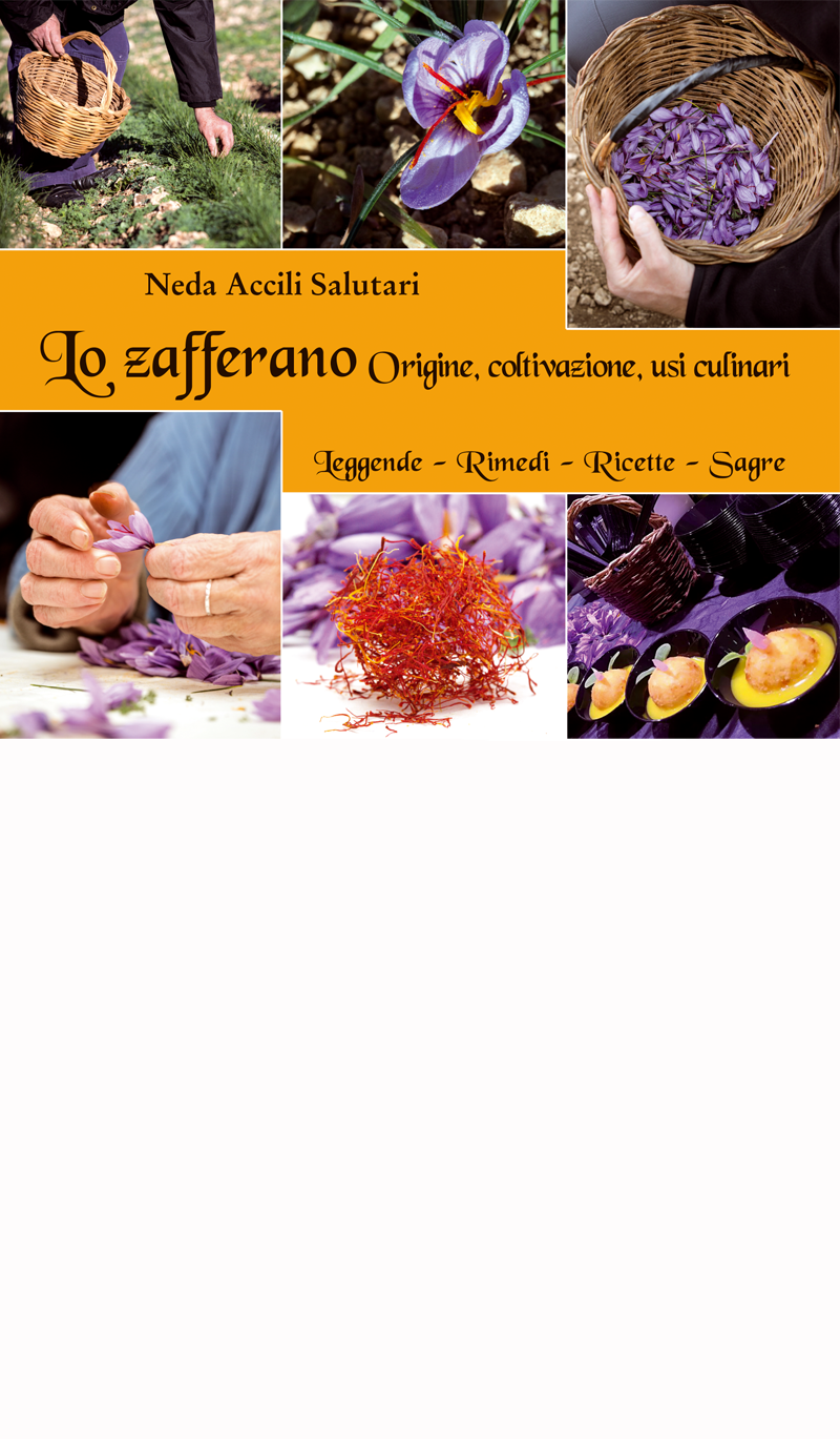 copertina zafferano